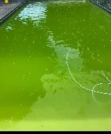 Malibu Pools Ltd photo 5