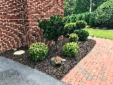 Nature's Call Landscaping photo 2