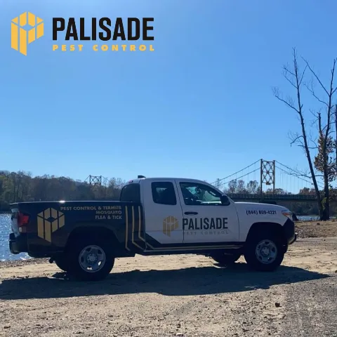 Palisade Pest Control in Fayetteville