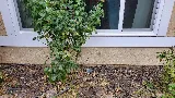 Cal Termite & Pest Control photo 4