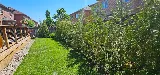 S.N.G Landscaping photo 5