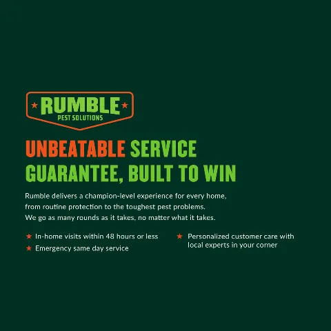 Rumble Pest Solutions in Bloomington