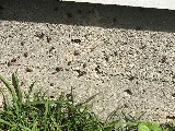 Arrow Termite & Pest Control photo 7