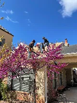 Ranger Roofing and Construction USA photo 8