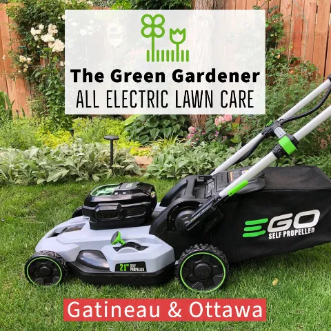 The Green Gardener in Gatineau