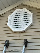 Pal Pest Bat Control photo 4