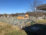 Amigo Landscaping LLC photo 4