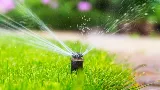 Landscape company