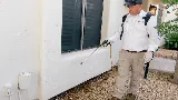 KY-KO Pest Prevention photo 7