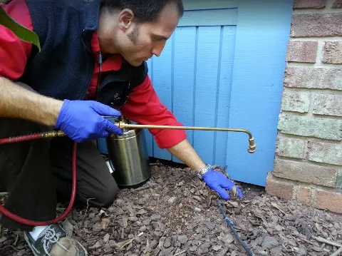 Go-Forth Pest Control photo 1