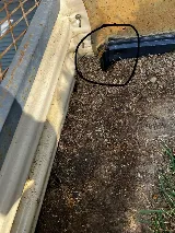 Greenix Pest Control photo 3