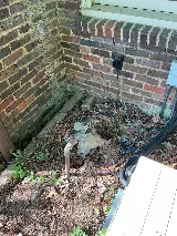 Bliss Plumbing photo 3