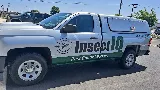 Insect IQ photo 2