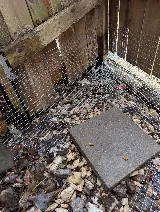 Extermineo photo 7