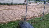 Concrete Sparks NV