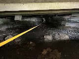 Active Pest Control, Inc. photo 2
