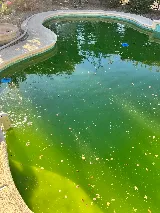 McCallum's Pool Service & Repair LLC photo 6