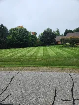 Cardinal Green Landscaping photo 2