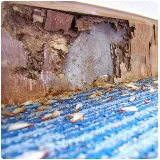 Massey Services Pest Control photo 5