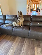 ABQ Flooring Solutions, LLC photo 8