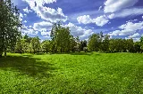 Harvest Lawn Care photo 2