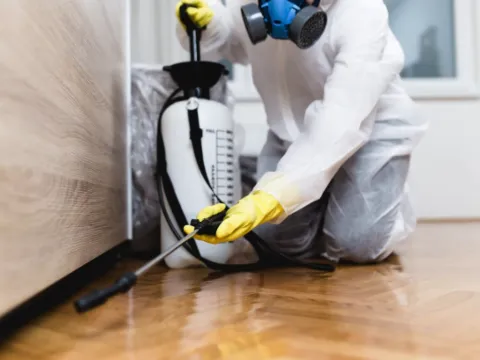 Preferred Pest Control Orange County photo 1