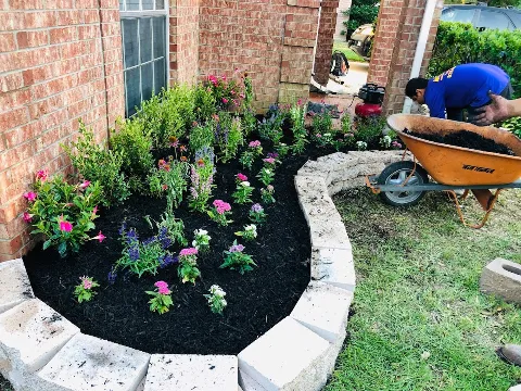 Texas Castro Landscaping LLC photo 1