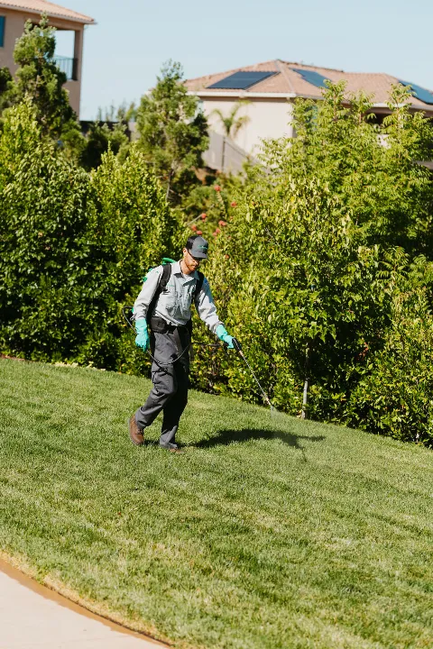 Pro Active Pest Control photo 1
