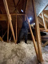 Orkin Canada Pest Control photo 4