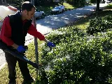 Go-Forth Pest Control photo 7