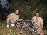 Wildlife Trapper Pro photo 4