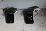 Pest Maven photo 4