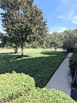 B.O.G. Pest Control photo 7