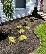 Bears Landscaping Columbus photo 7