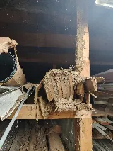 A1-Termite & Pest Control photo 3