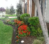 Decarlo Landscape Design & Maintenance photo 5