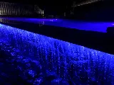 CCS Pool and Landscape photo 8