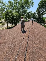 M&A Tree Service, Construction And Landscaping photo 4
