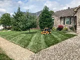 Legacy Landscape Lawn Care and Christmas Lights photo 8