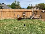 Brooks Pest Control photo 2