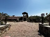 Valley Oak Landscaping photo 3