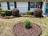 Oak Branch Landscaping photo 5