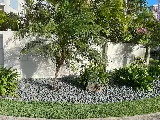 Hawaii Harmony Gardens Landscaping