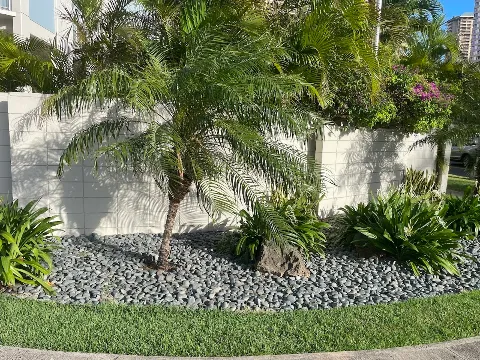 Hawaii Harmony Gardens Landscaping photo 1