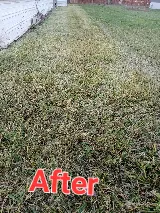 Atkins Landscaping photo 3