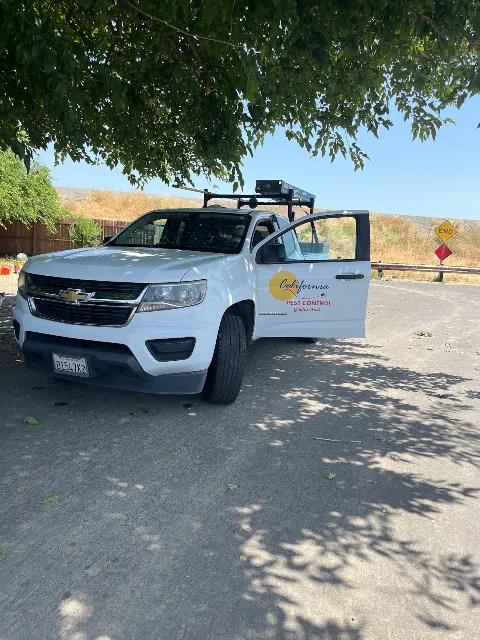 California Pest Control in Stockton