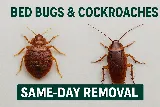 Bug Managers Pest Control photo 5