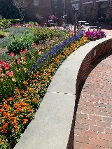 McFarland Landscape Services Inc photo 6