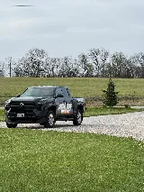 Local Guy Pest Control photo 5