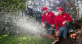 Complete Lawn Care photo 4